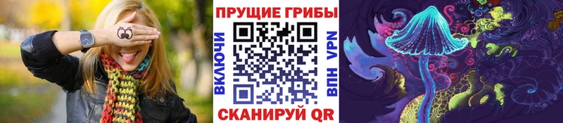 Псилоцибиновые грибы Psilocybe  где купить   Сальск 